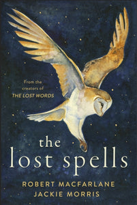 The Lost Spells-9780241444641
