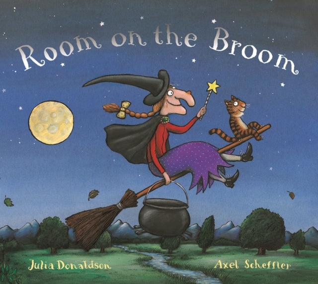 Room on the Broom-9780333903384