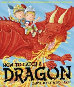 How To Catch a Dragon-9780857079596
