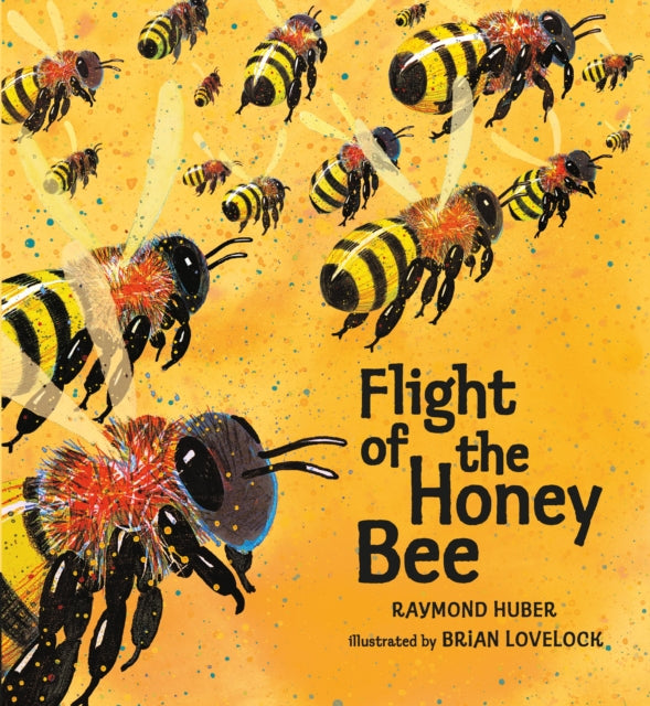 Flight of the Honey Bee-9781406355215