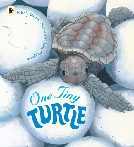 One Tiny Turtle-9781406364637