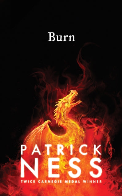 Burn-9781406375503