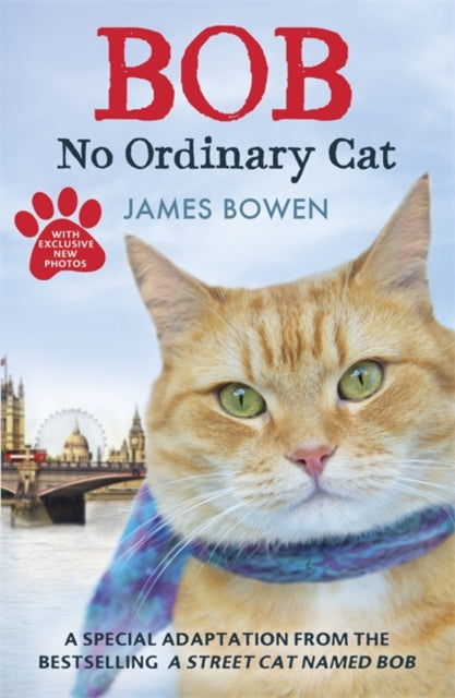 Bob : No Ordinary Cat-9781444764901
