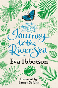 Journey to the River Sea-9781509832255
