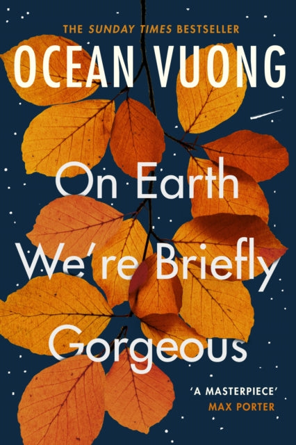 On Earth We're Briefly Gorgeous-9781529110685