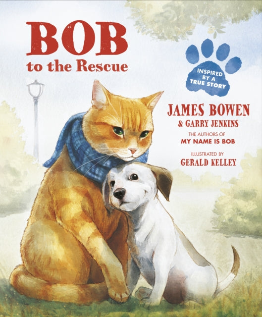 Bob to the Rescue : An Illustrated Picture Book-9781782954859