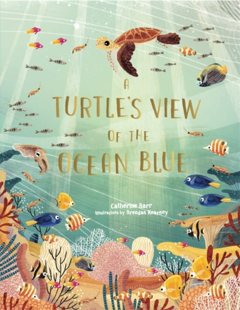 A Turtle's View of the Ocean Blue-9781786279095