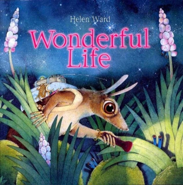 Wonderful Life-9781840113495