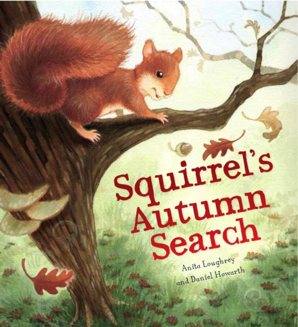 Squirrel's Autumn Search-9781848358782