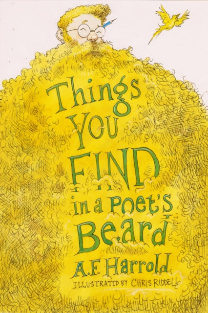 Things You Find in a Poet's Beard-9781909136618
