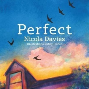 Perfect-9781912213498