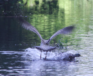 Lift Off
