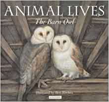 Animal Lives Barn Owl -2nd hand