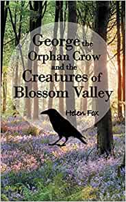 George the orphan crow